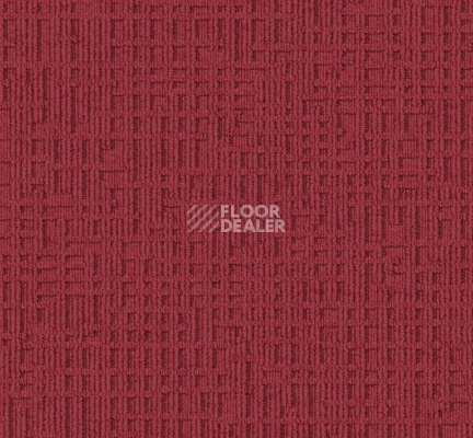 Ковровая плитка Interface Monochrome 346719 Gerbera фото 1 | FLOORDEALER